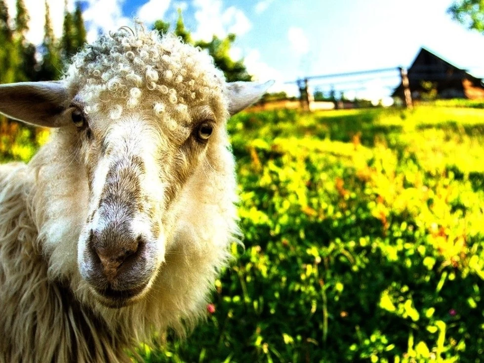 travel program image