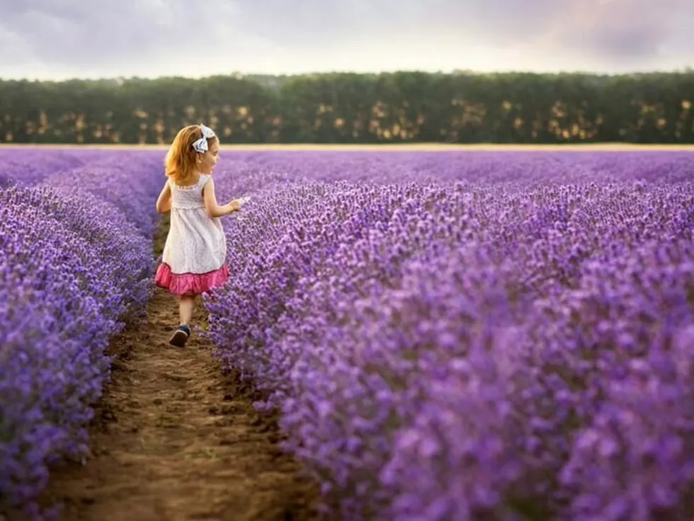 travel program image