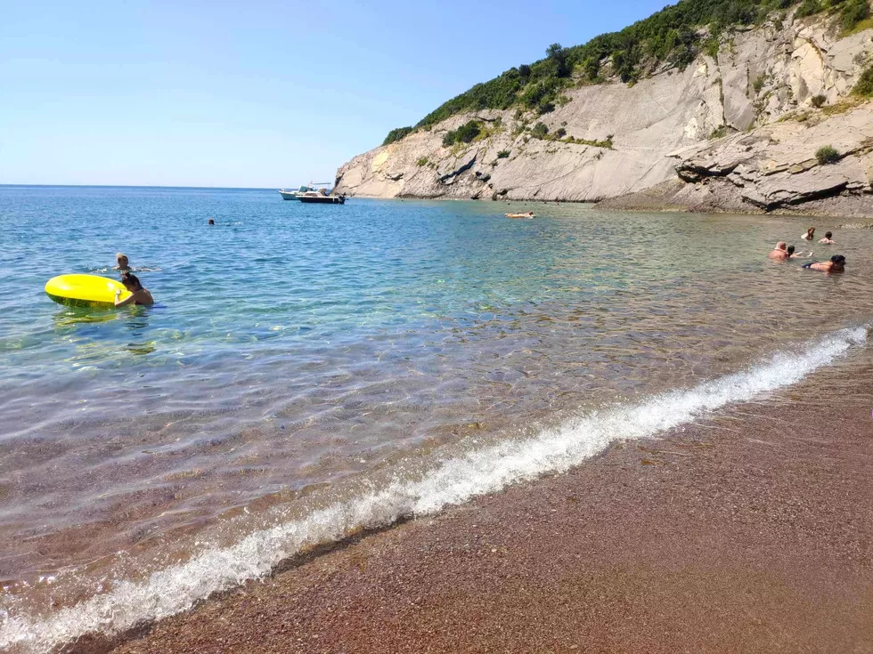 travel program image