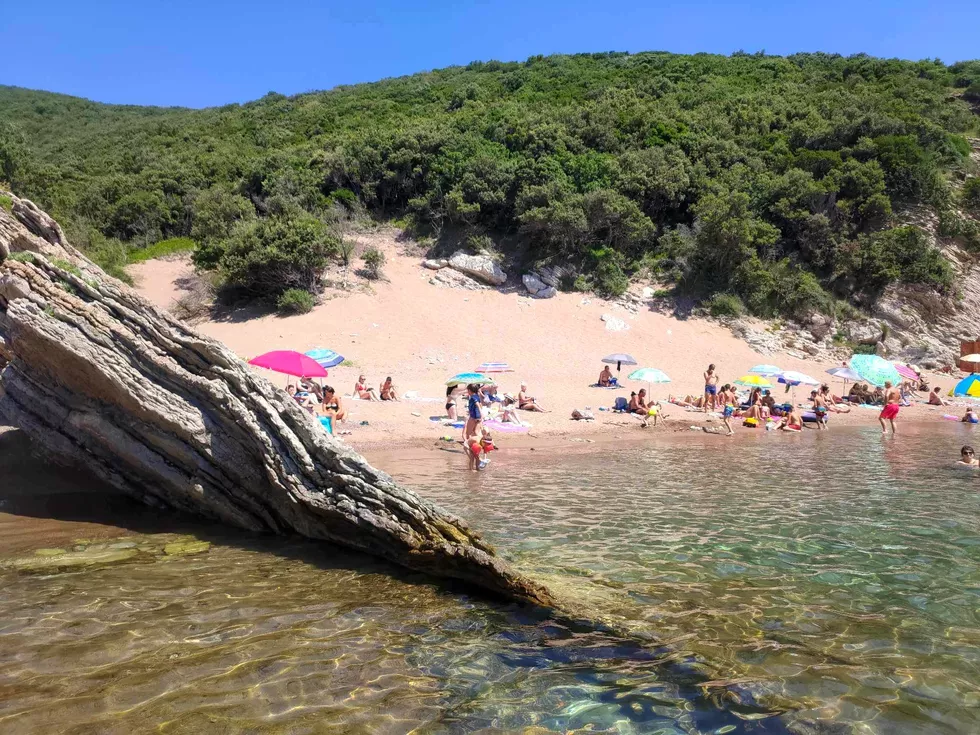 travel program image