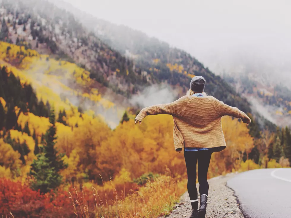 travel program image