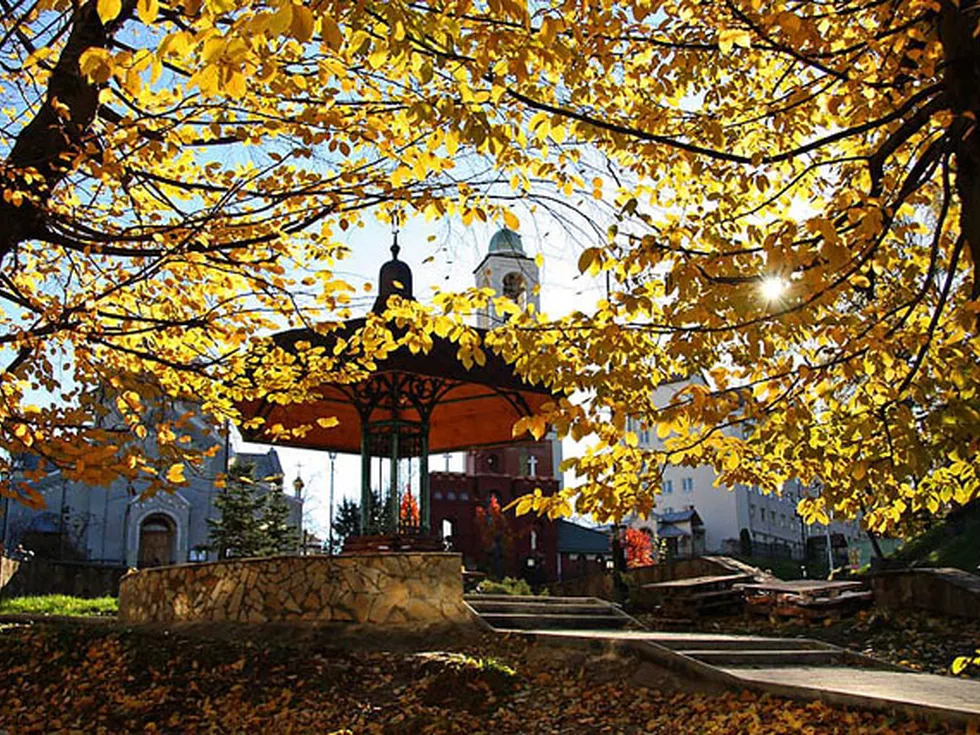 travel program image