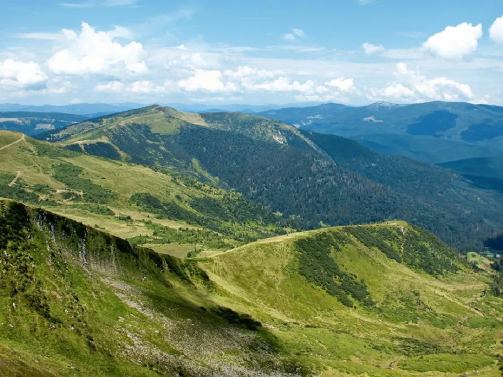 travel program image