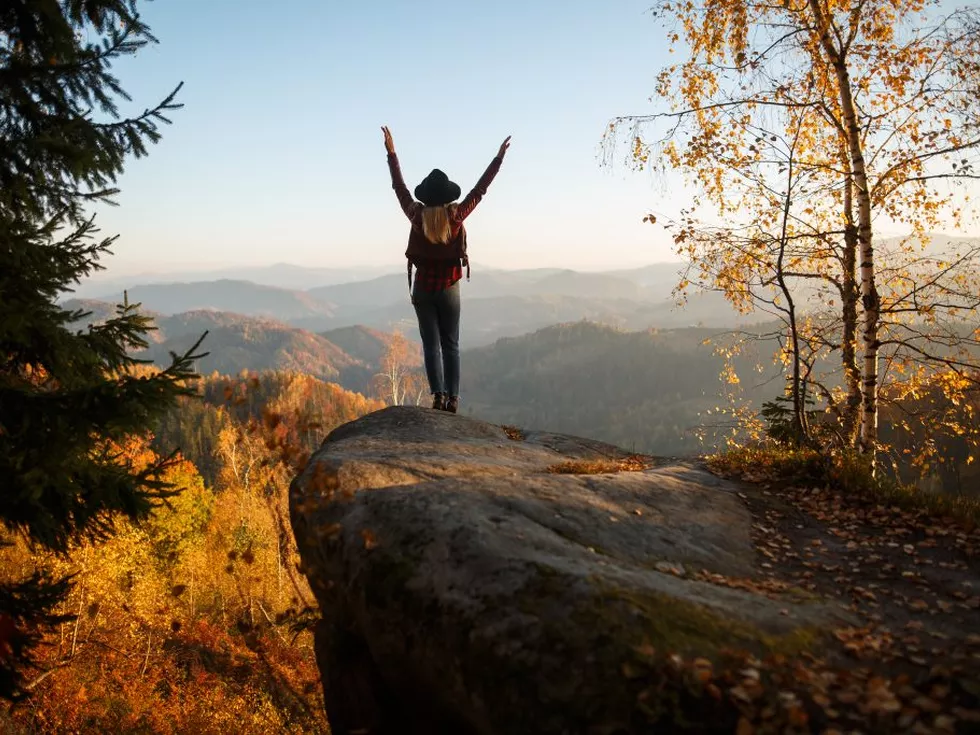 travel program image