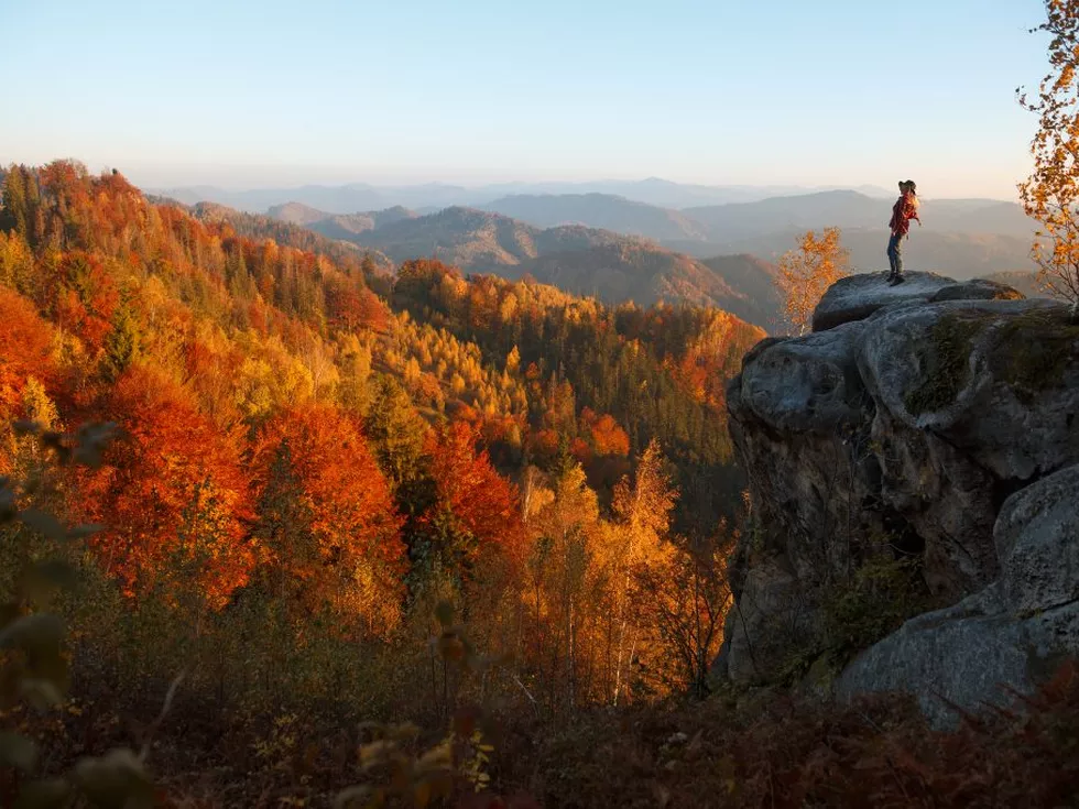 travel program image