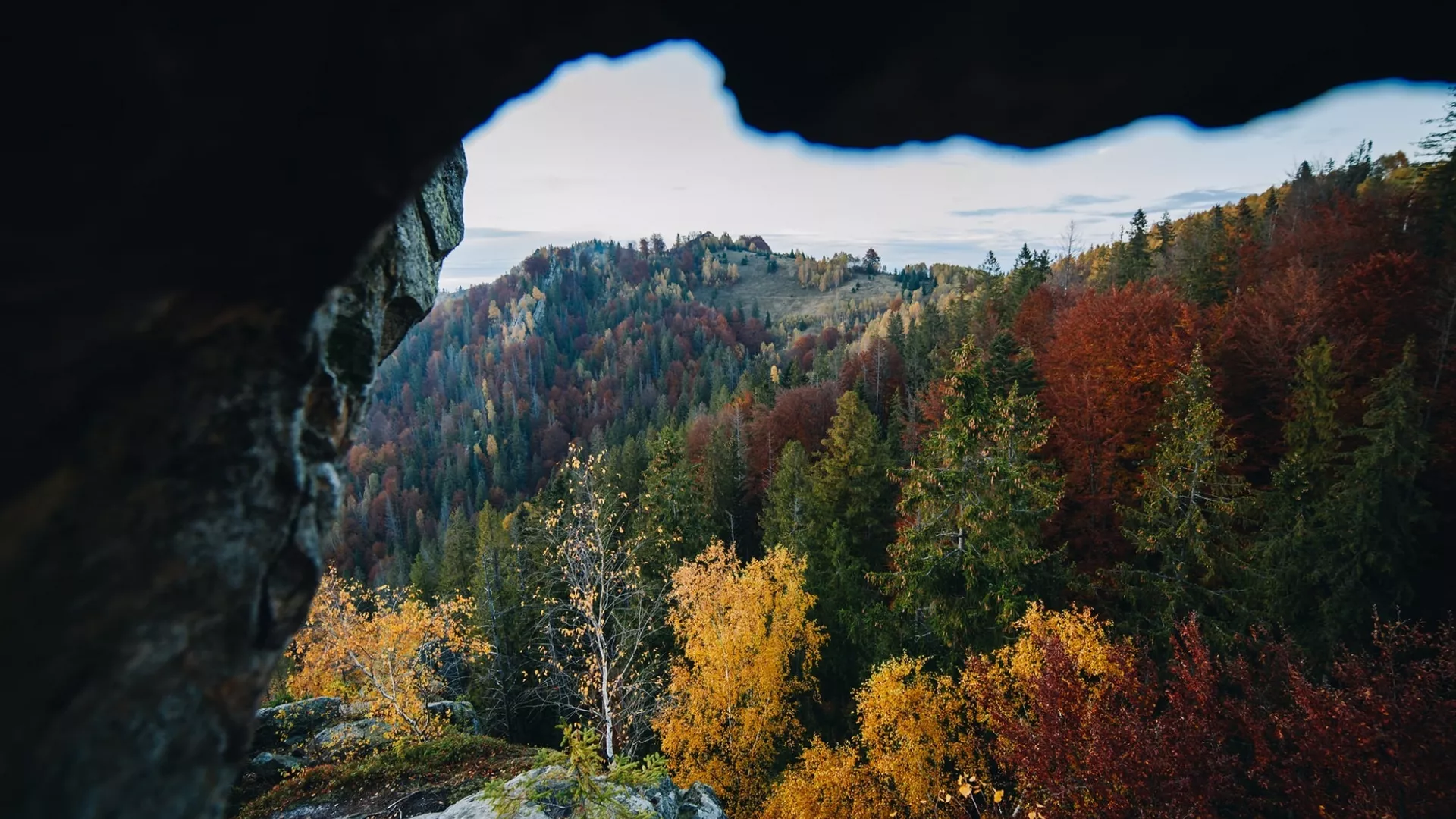 trip inroduction image