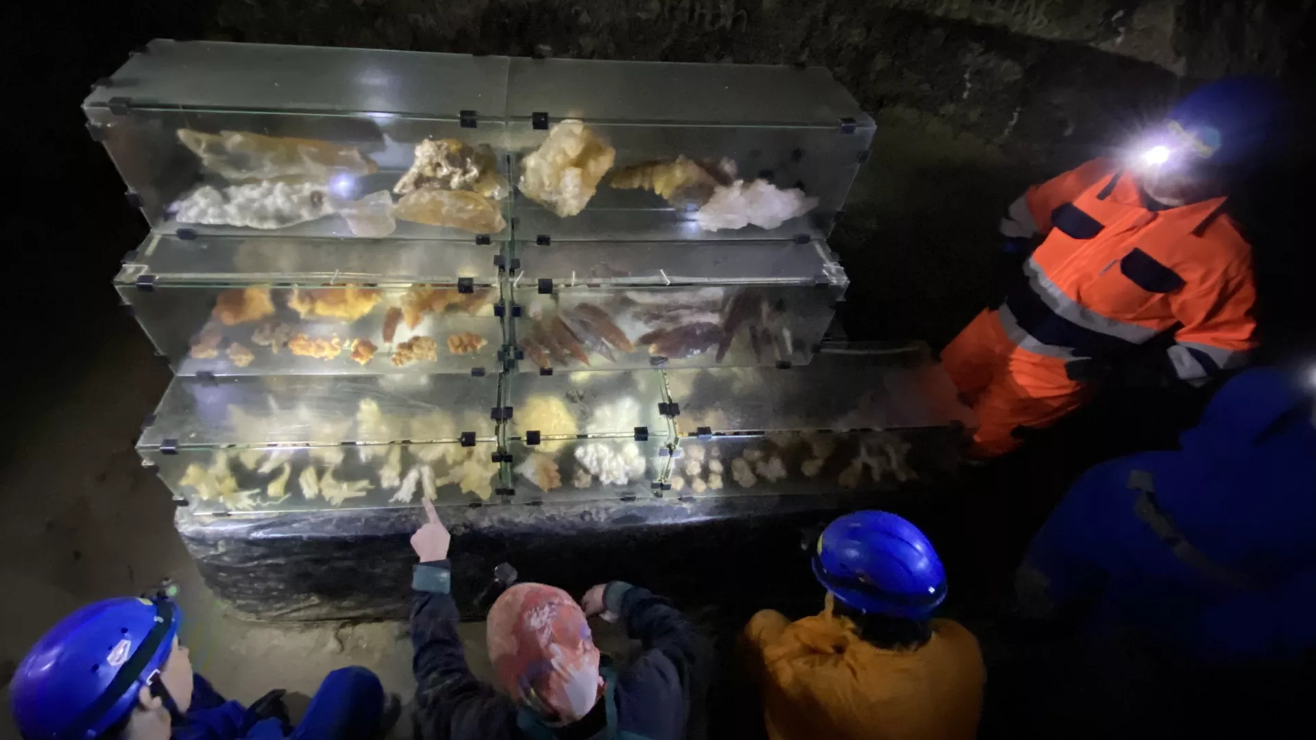 trip inroduction image