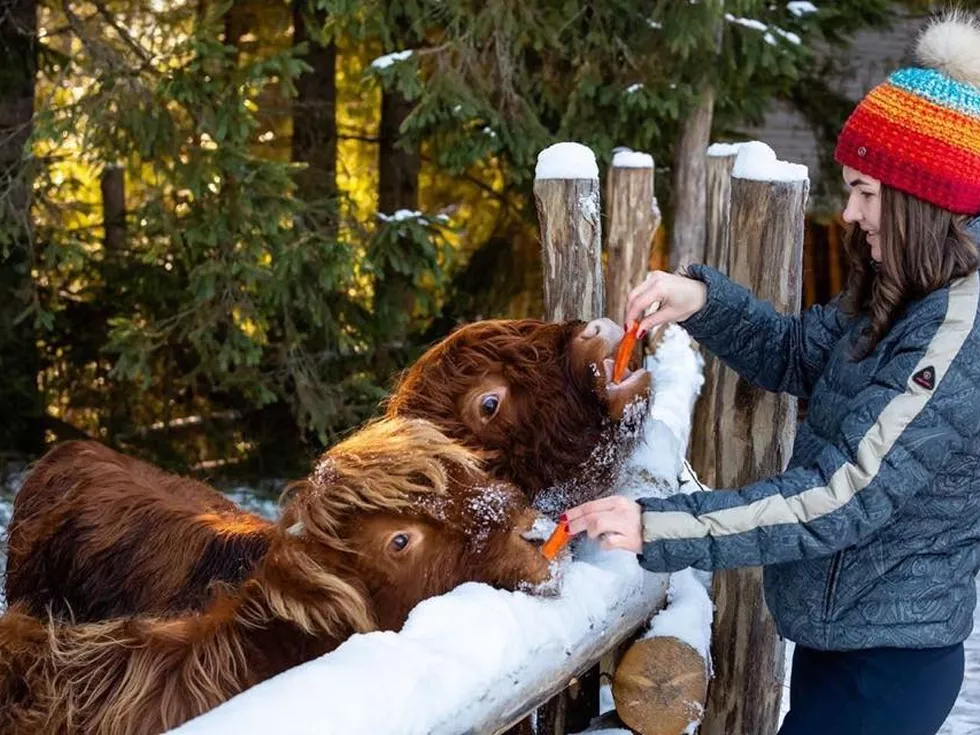 travel program image