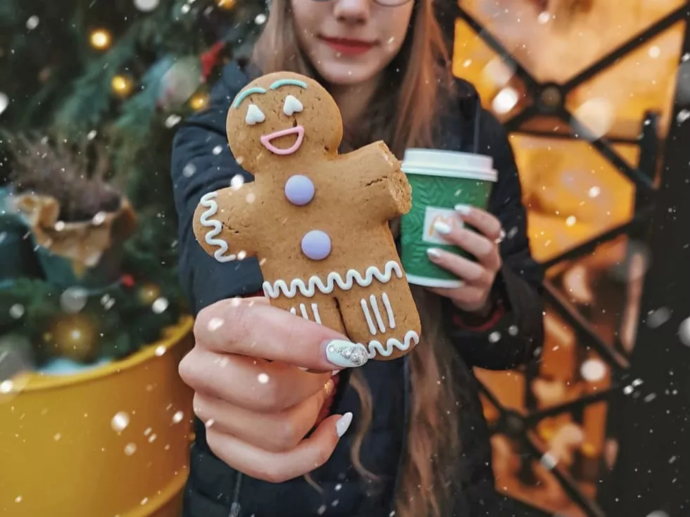 travel program image