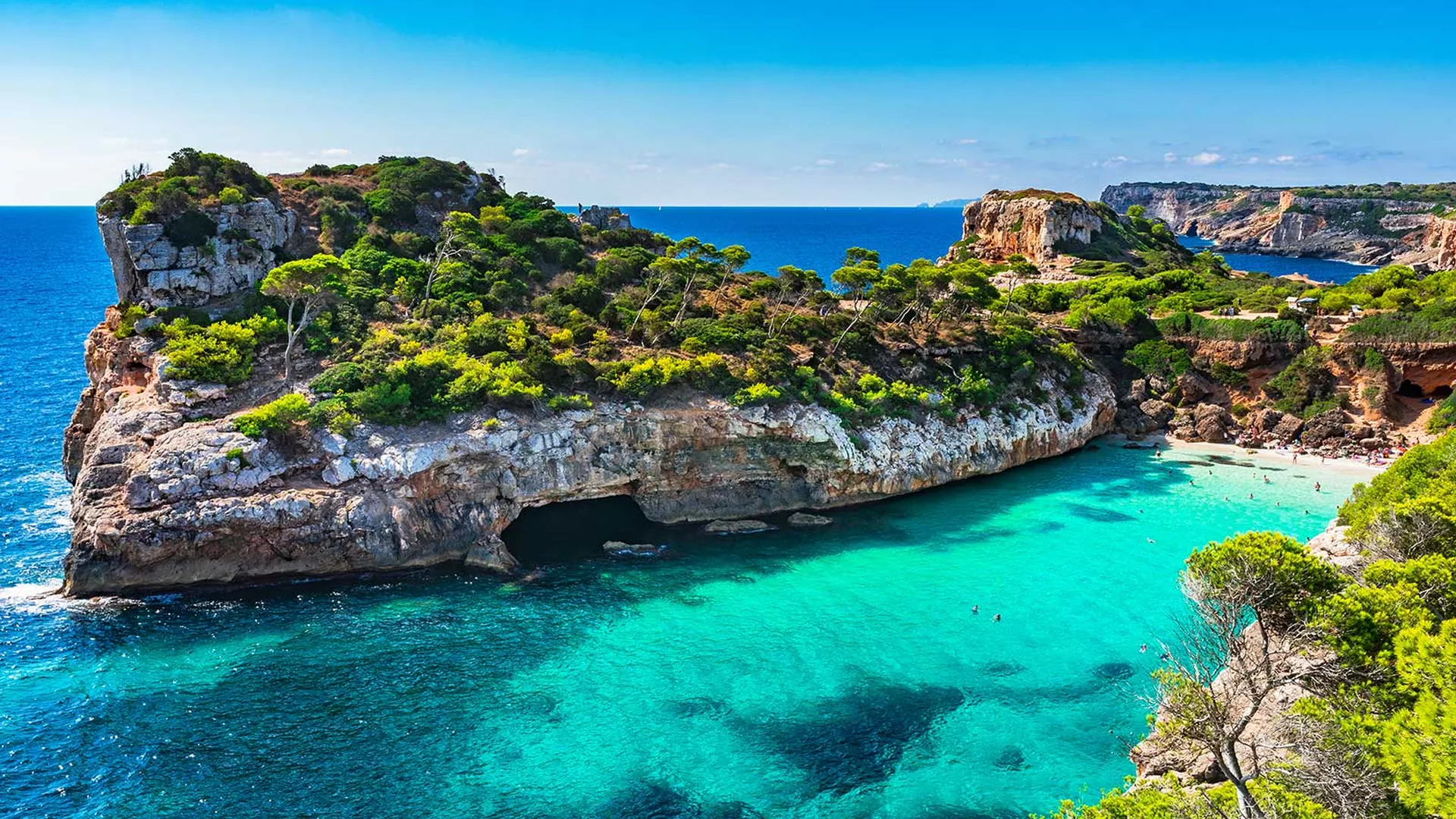 trip inroduction image