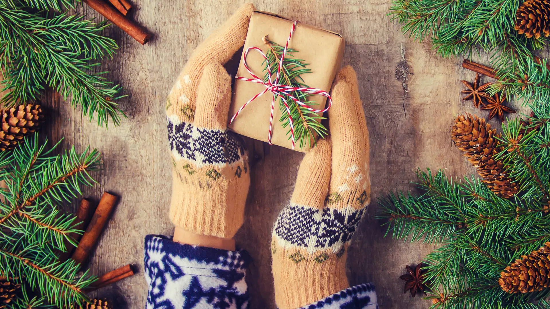 trip inroduction image