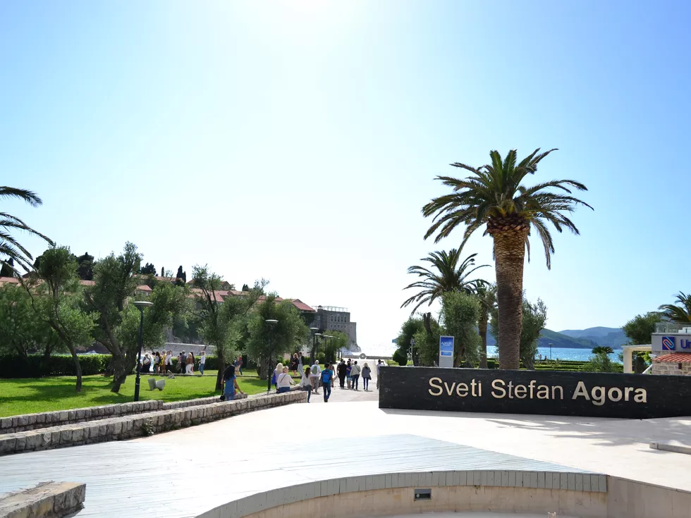 travel program image