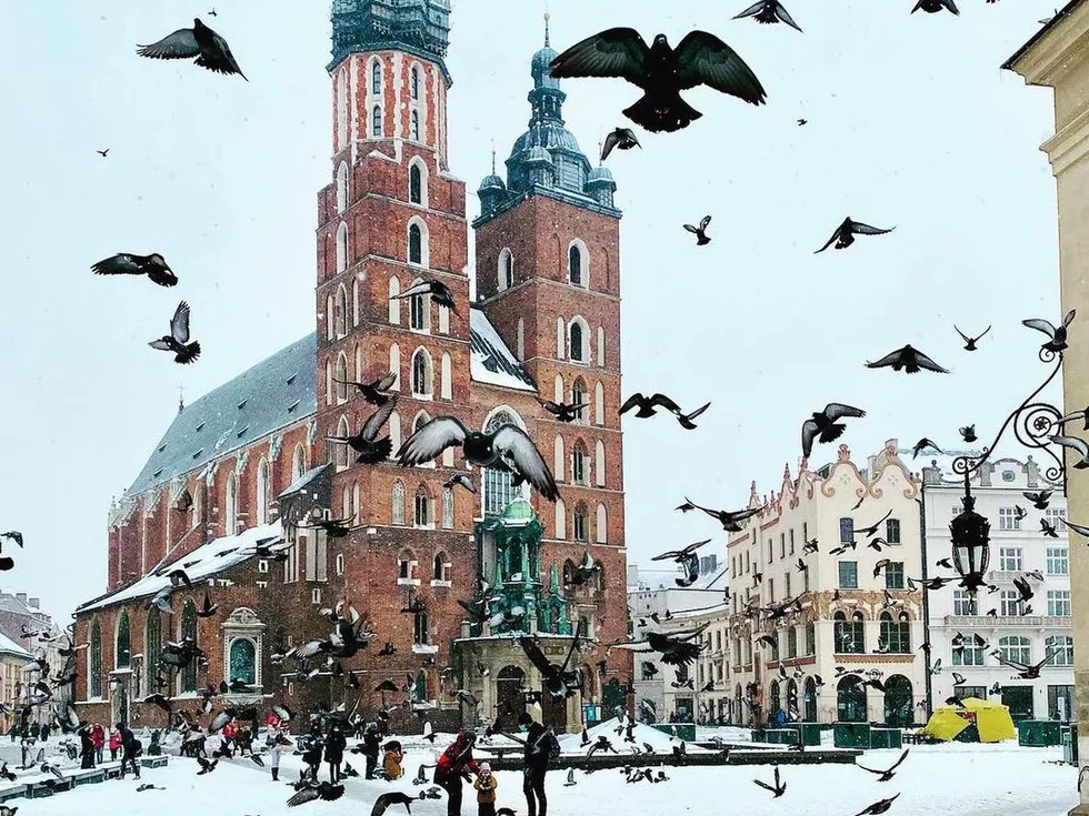 travel program image