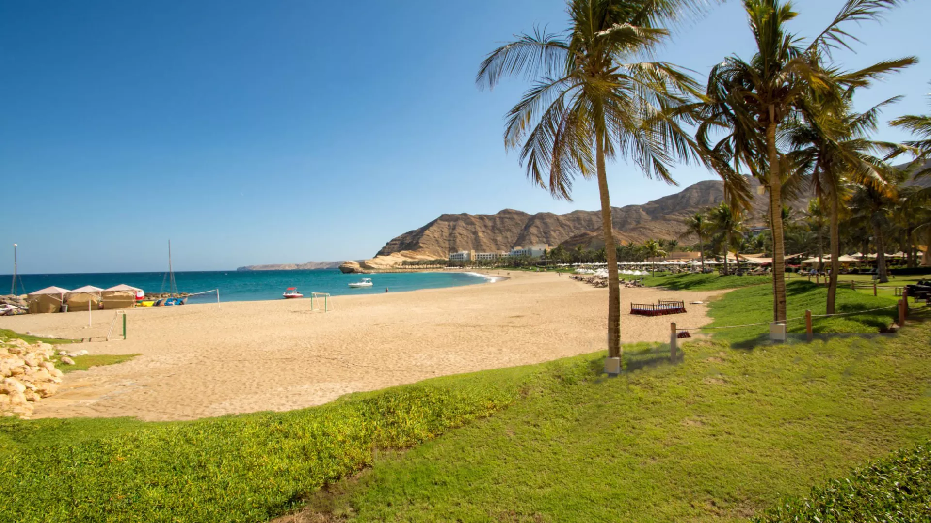 trip inroduction image