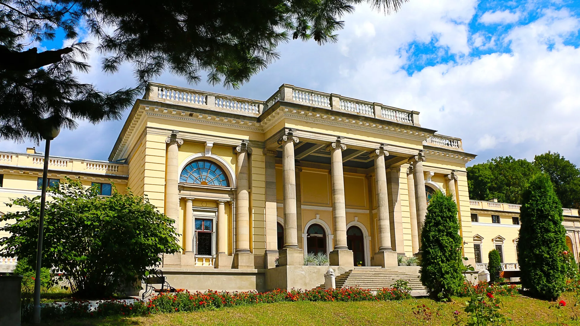 trip inroduction image