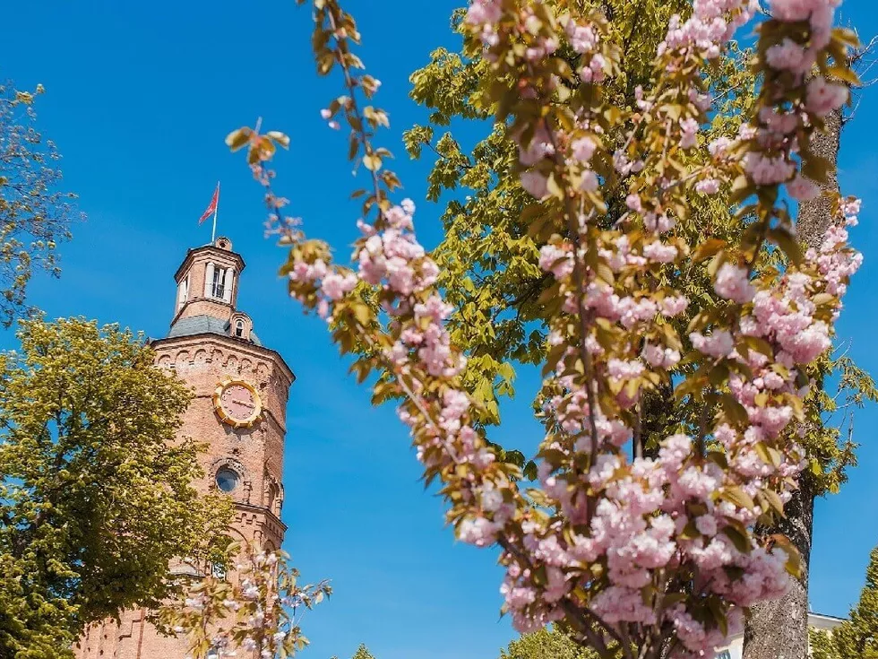 travel program image