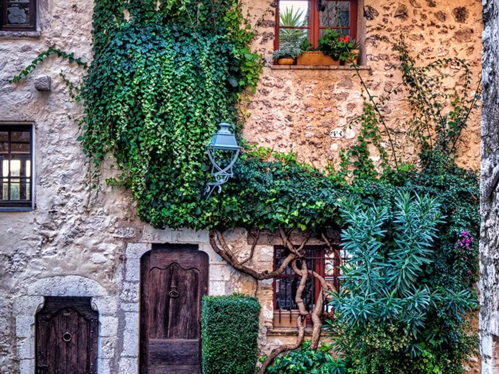 travel program image