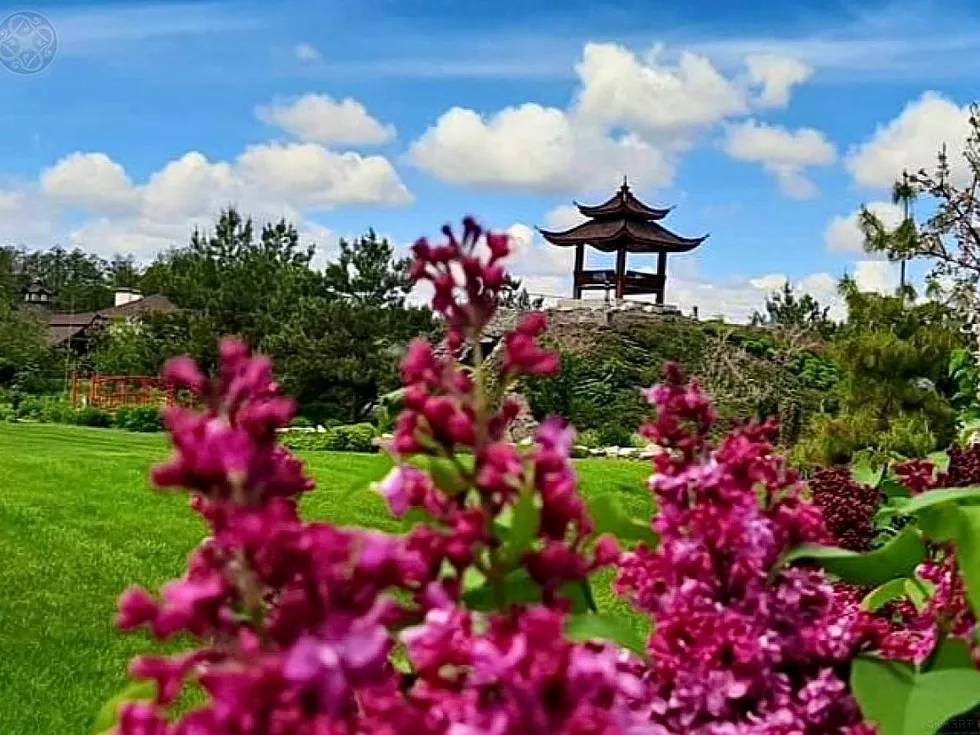 travel program image