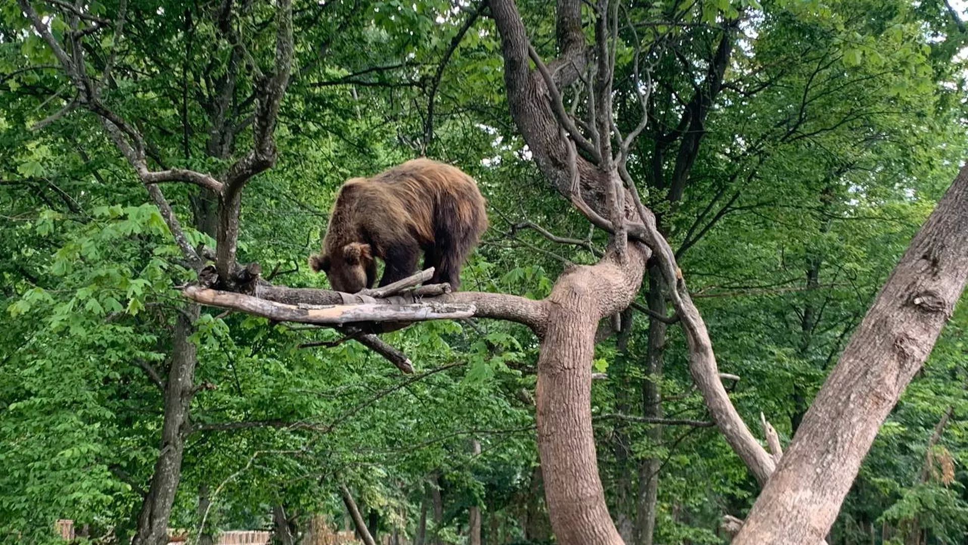 trip inroduction image