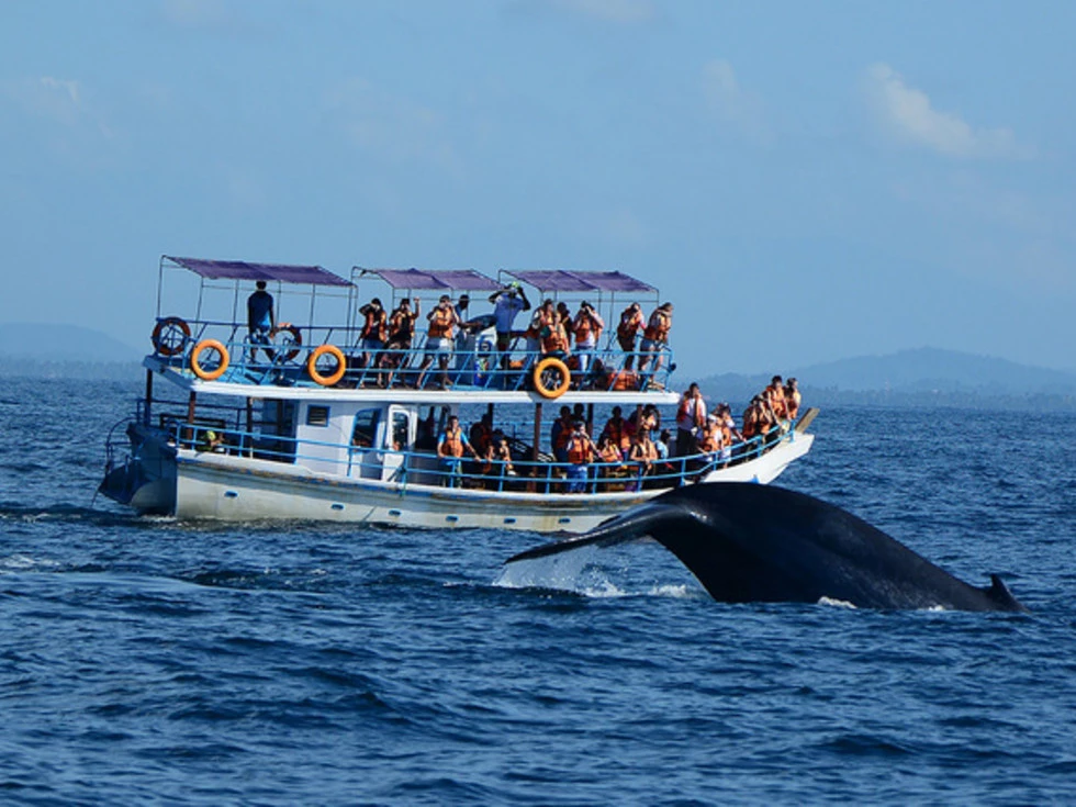 travel program image