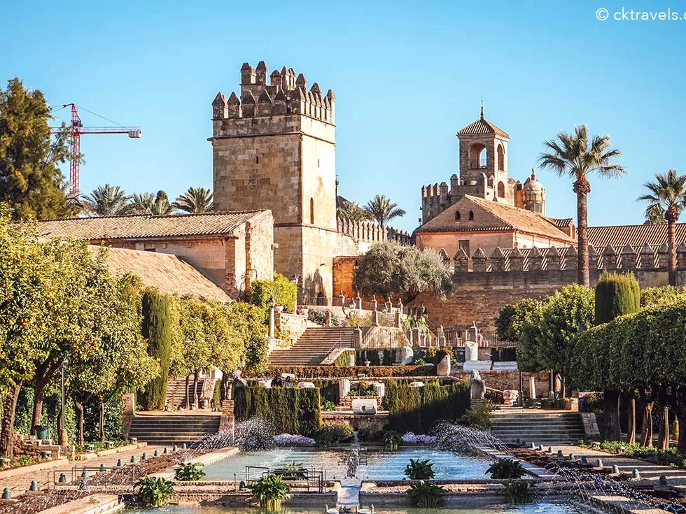 travel program image