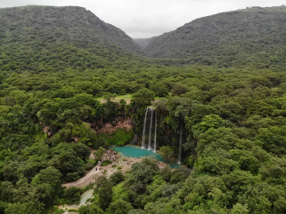 travel program image