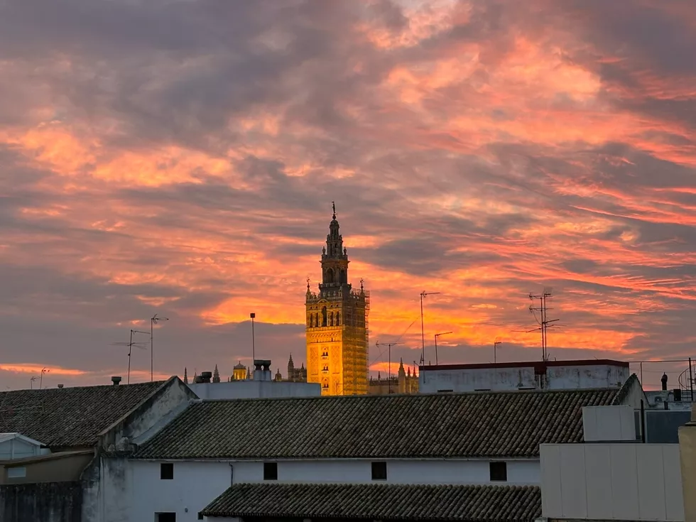 travel program image