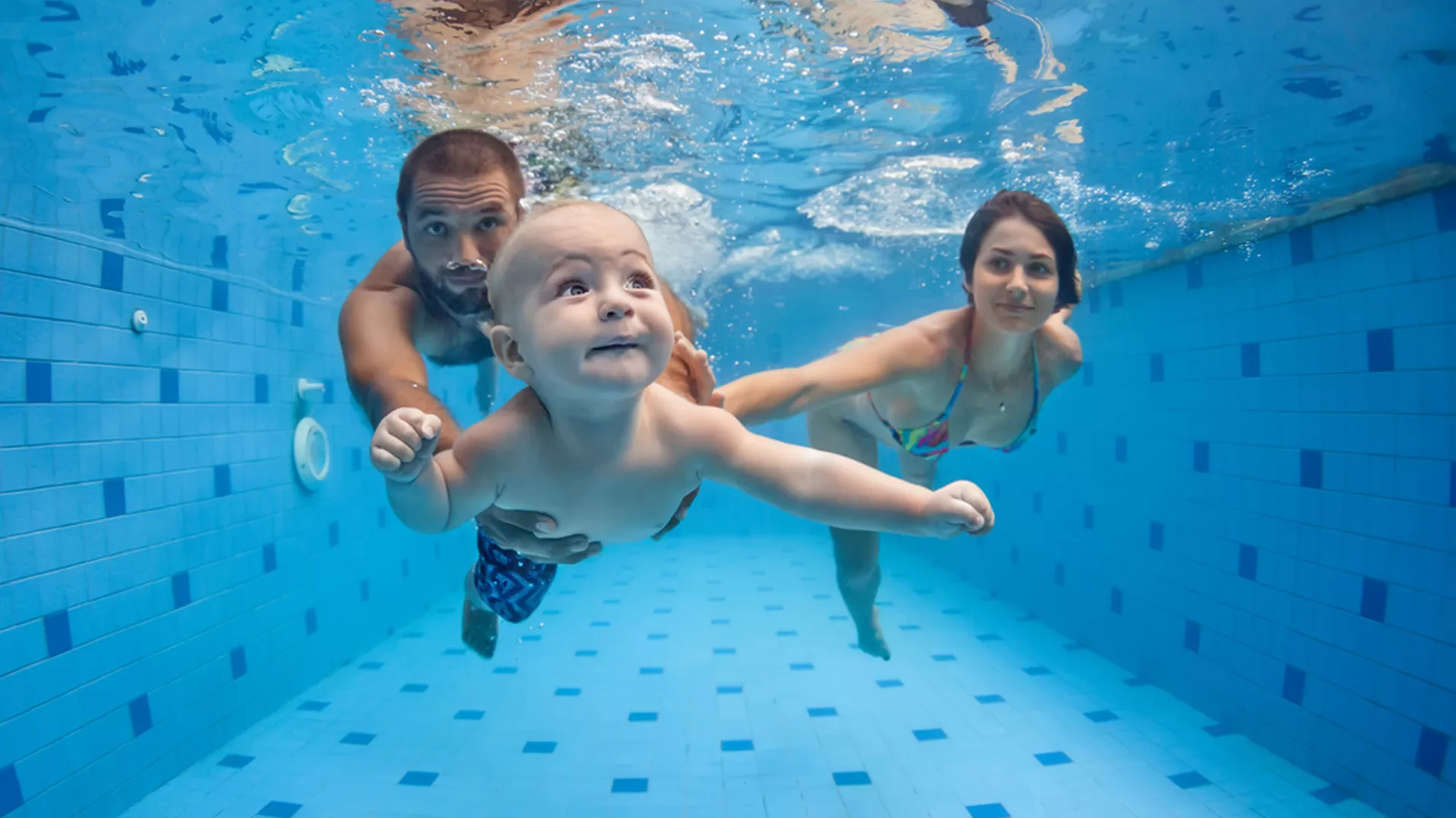 trip inroduction image