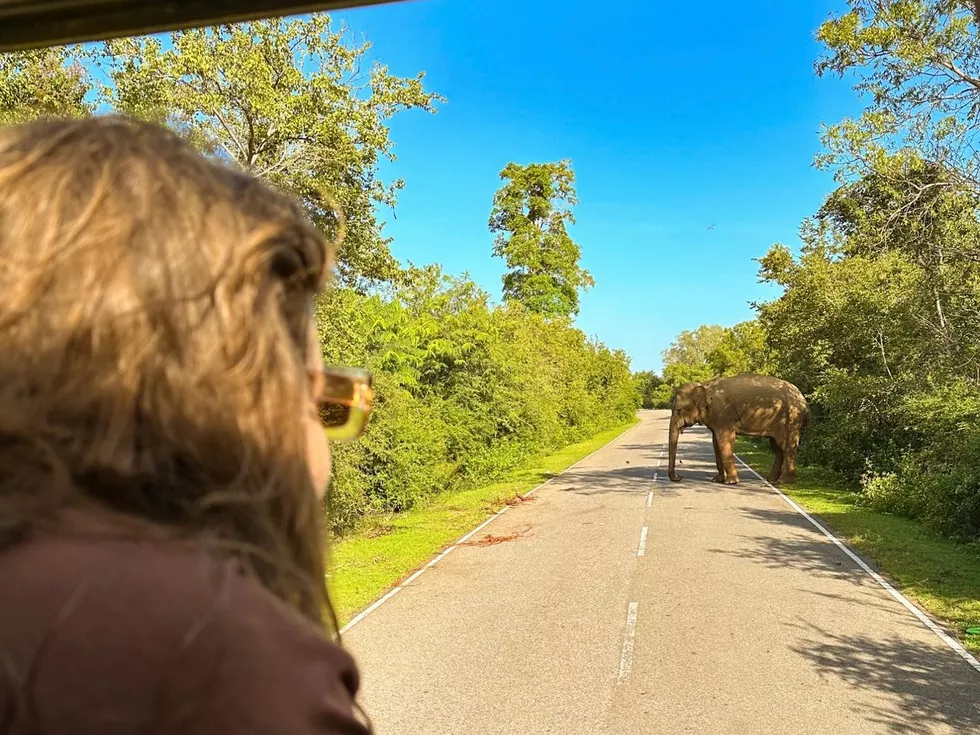 travel program image