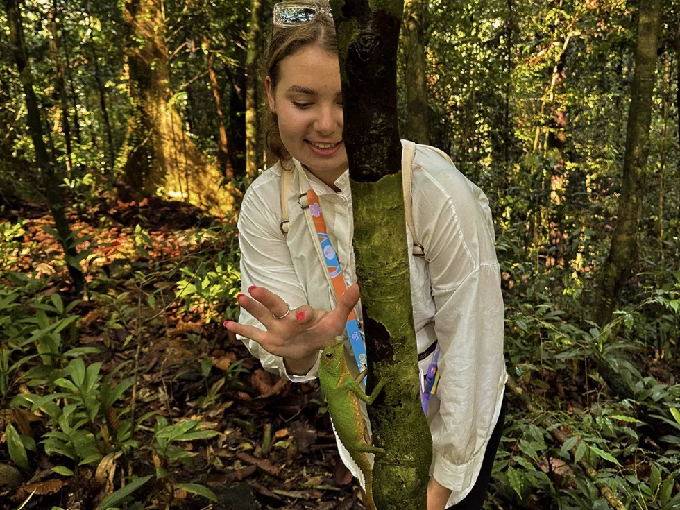 travel program image