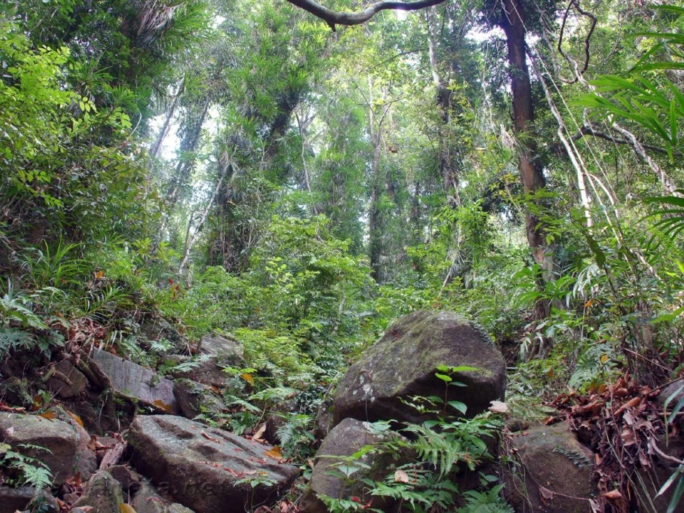 travel program image