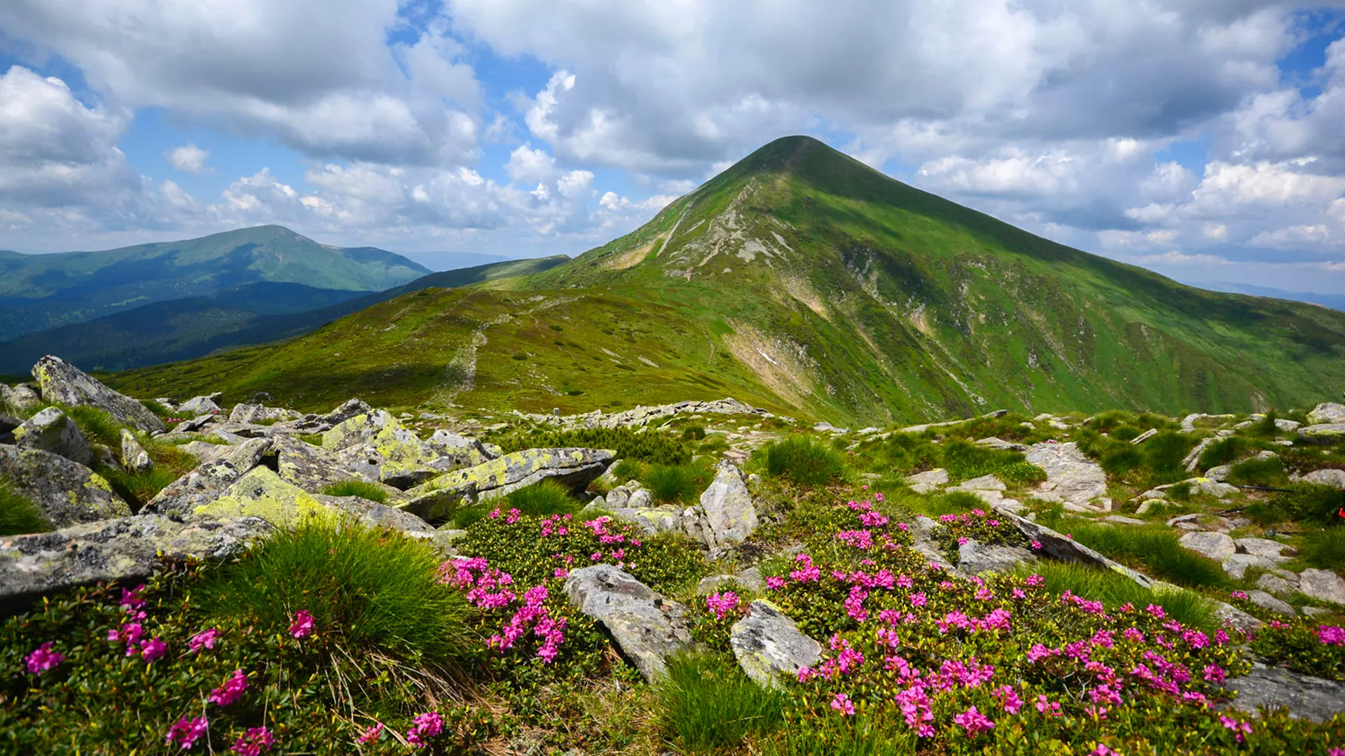 trip inroduction image