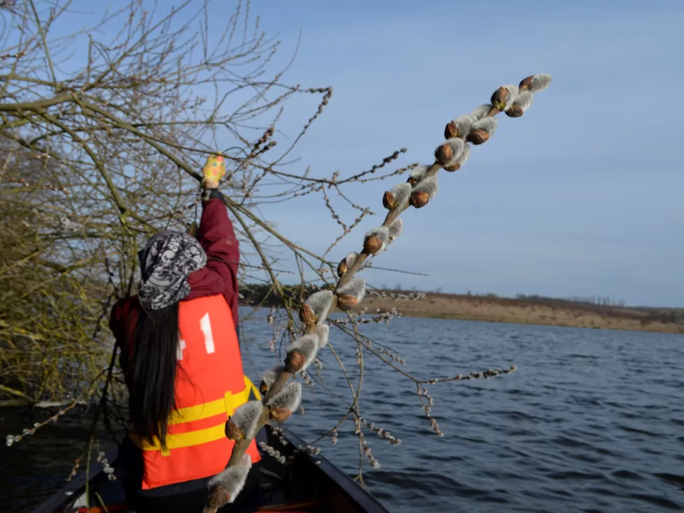 travel program image