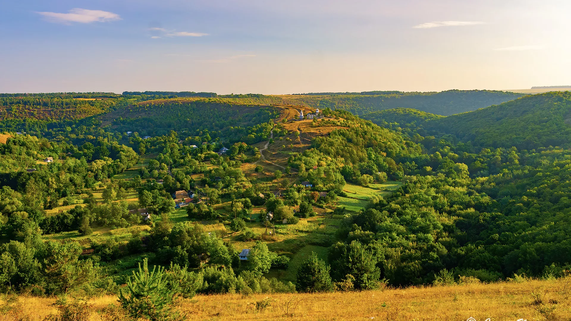 trip inroduction image