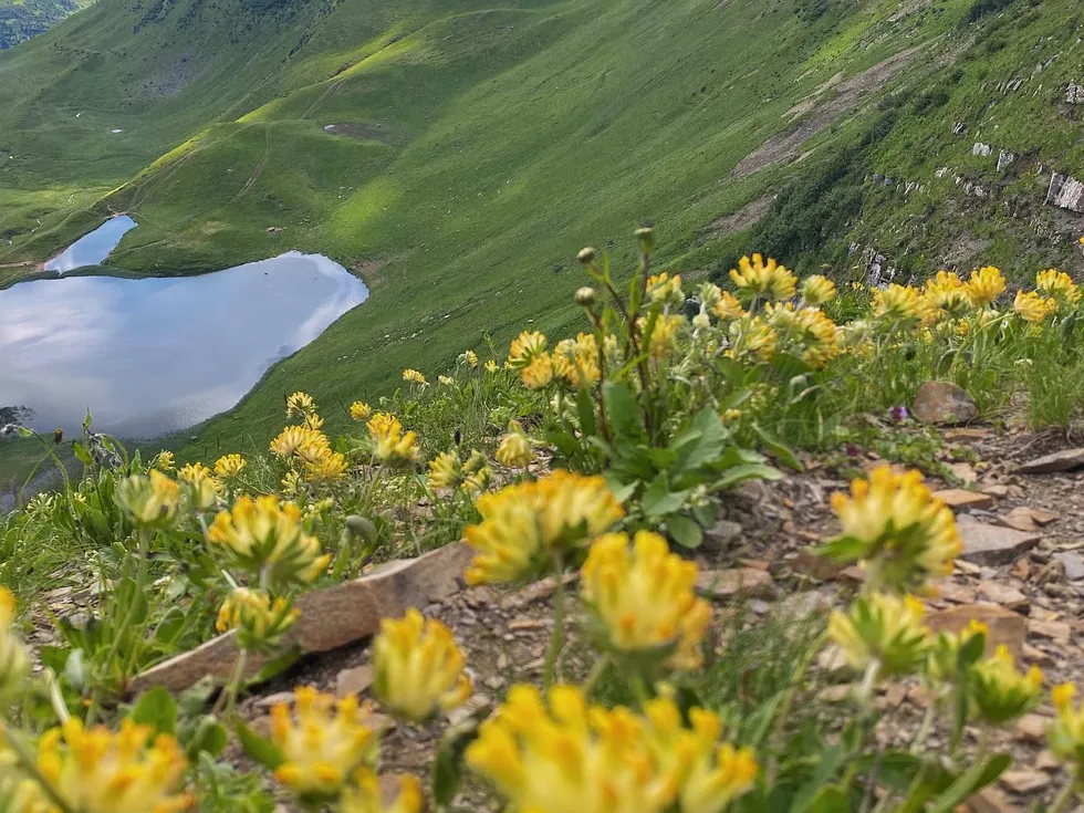 travel program image