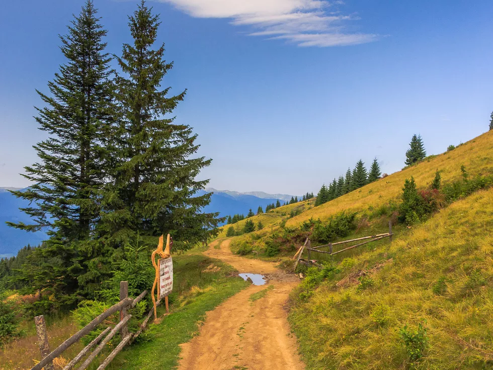 travel program image