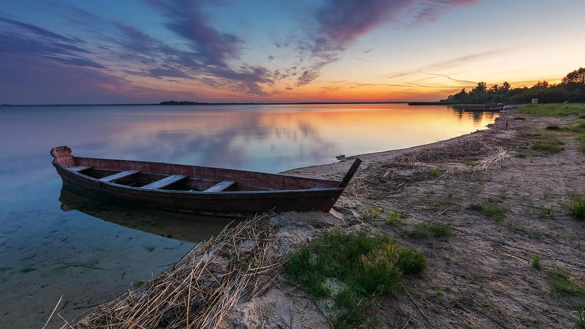 trip inroduction image